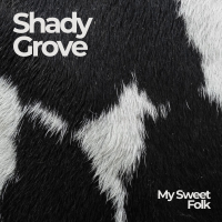 My Sweet Folk: l'autenticità del folk acustico guidata da Pierre-Yves Brégand