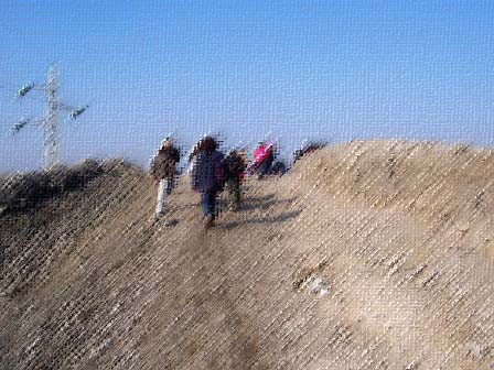 Lavoro eseguito per il "Laboratorio città sostenibile" della città di Torino