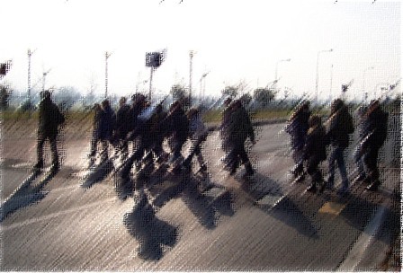 Lavoro effettuato per l'associazione "Casartarc" di Settimo Torinese (To)