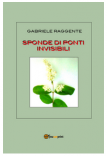 Copertina libro cartaceo "Sponde di ponti invisibili"