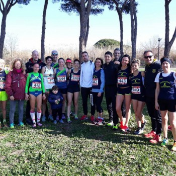 Gruppo compatto