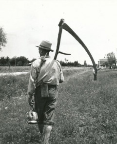 Bracciante con falce da fieno